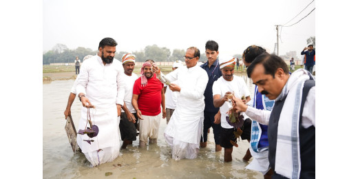 जाने दरभंगा के खेतों में खुद क्यों उतर गए केंद्रीय मंत्री शिवराज सिंह चौहान