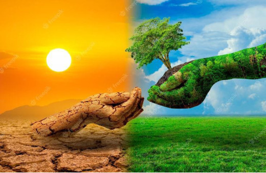 विश्व पर्यावरण स्वास्थ्य दिवस 2024 : महत्व और थीम