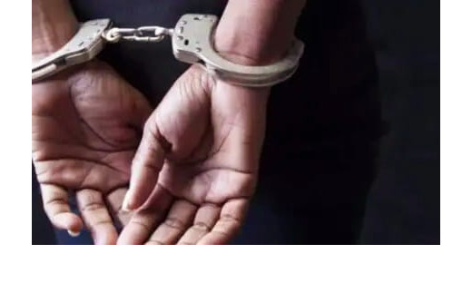 पोक्सो एक्ट के आरोपी रोहित कुमार गिरफ्तार, न्यायालय में किया गया प्रस्तुत