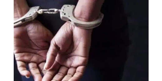 पोक्सो एक्ट के आरोपी रोहित कुमार गिरफ्तार, न्यायालय में किया गया प्रस्तुत