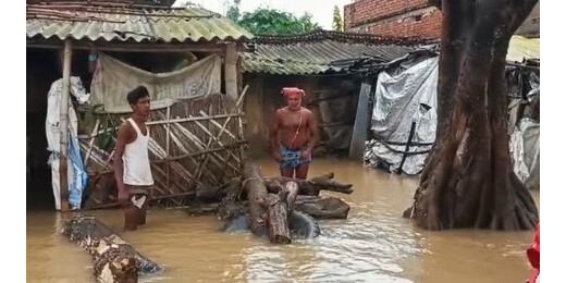 लखीसराय में सैलाब का सितम: आशियानों तक पहुंचा नदियों का पानी, राहत की राह ताकते ग्रामीण