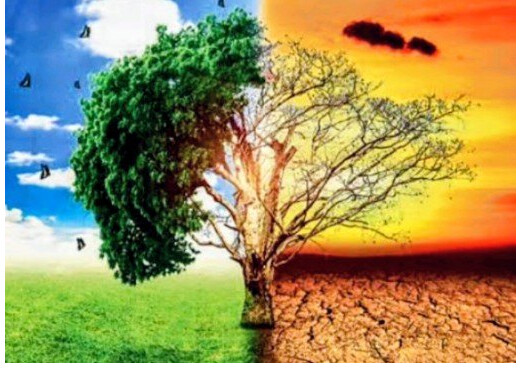 जलवायु संकट का कहर : आग, बाढ़ और तूफानों से दुनिया को 120 अरब डॉलर की चपत