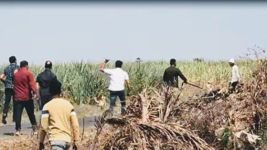 पुणे बस रेप केस: 70 घंटे बाद गन्ने के खेत से गिरफ्तार हुआ आरोपी