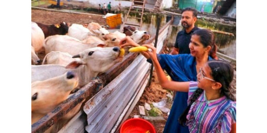 गोकशी के मुद्दे पर भाजपा विधायक नंद किशोर गुर्जर का फूटा गुस्सा, कहा इस्तीफा देकर भी लड़ूंगा