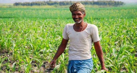 1,000 करोड़ की ऋण गारंटी योजना लॉन्च, किसानों को फसल कटाई के बाद आसानी से मिलेगा कर्ज कर्ज