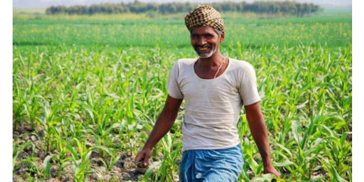 1,000 करोड़ की ऋण गारंटी योजना लॉन्च, किसानों को फसल कटाई के बाद आसानी से मिलेगा कर्ज कर्ज